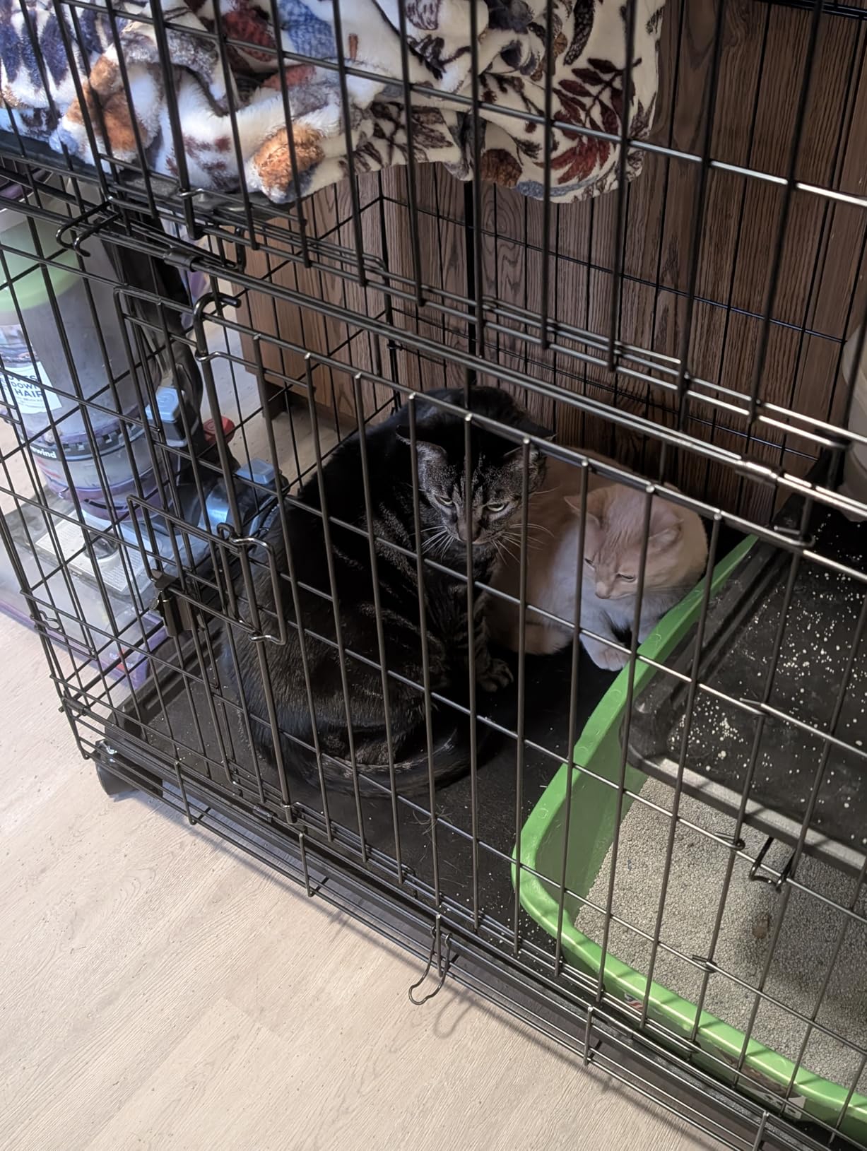 Amazon Basics Large 3-Tier Cat Cage Playpen with Easy to Clean Removable Tray, Front Doors, Portable, Foldable, 35.8