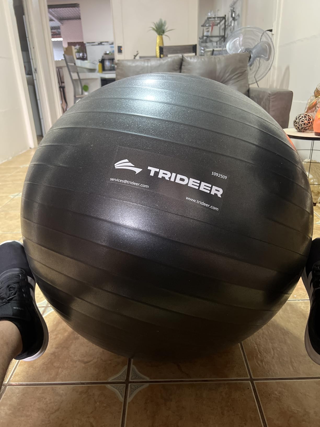 Trideer Exercise Ball for Yoga, Pilates & Fitness - Stability Ball Equipment for Home Gym & Office Chair, Core & Balance Training Accessories, Physical Therapy Equipment, Quick Pump Included, 5 Sizes customer photo 1