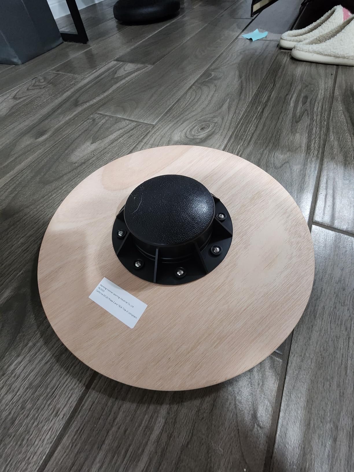 Amazon Basics Wood Wobble Balance Trainer Board customer photo 2