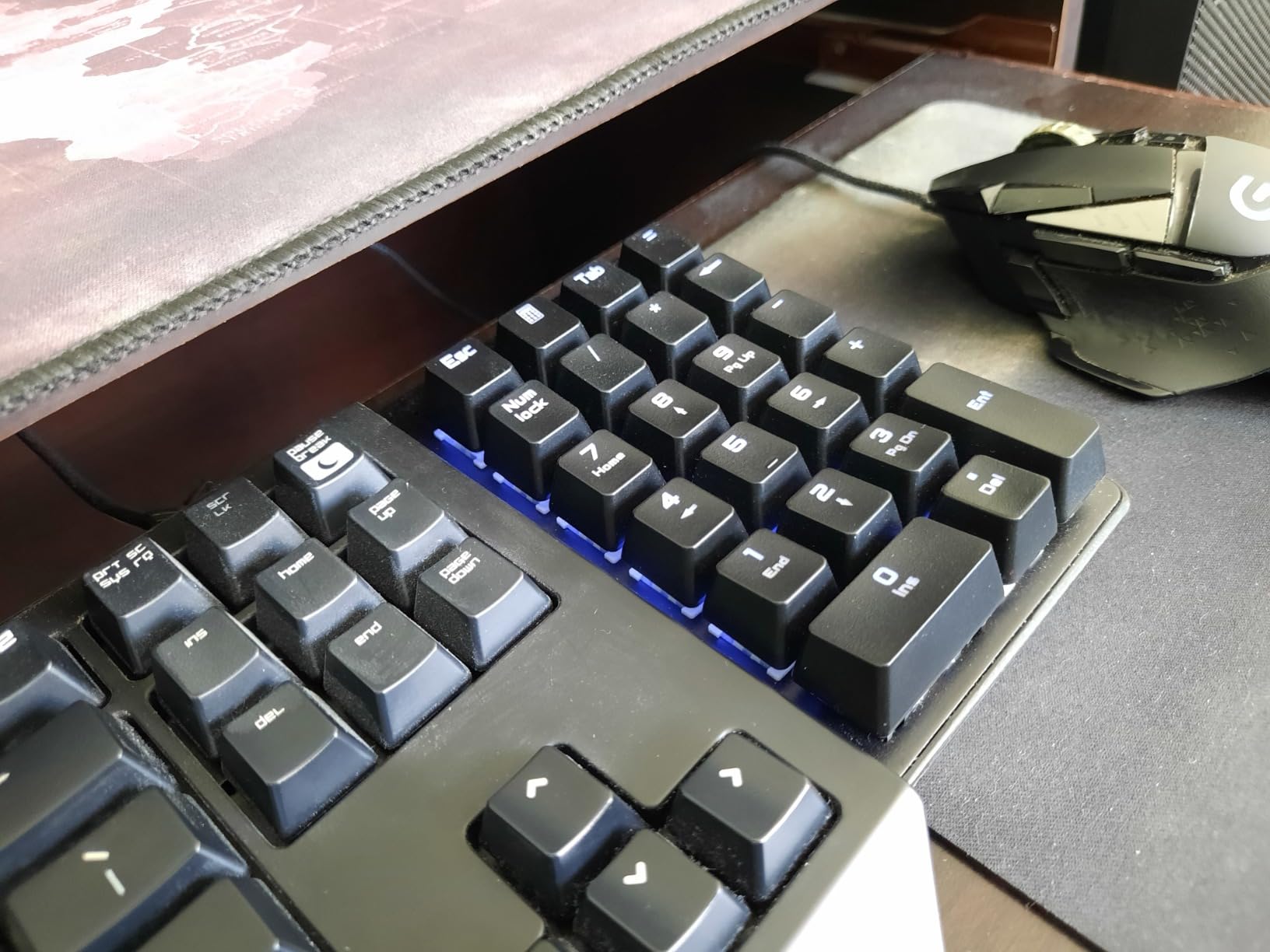 Rottay Number Pad, Mechanical USB Wired Numeric Keypad with Blue LED Backlit 22 Key Numpad for Laptop Desktop Computer PC Black (Blue switches) customer photo 1