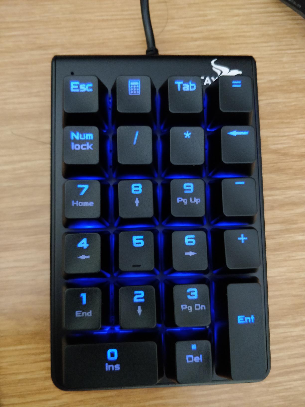 Rottay Number Pad, Mechanical USB Wired Numeric Keypad with Blue LED Backlit 22 Key Numpad for Laptop Desktop Computer PC Black (Blue switches) customer photo 2