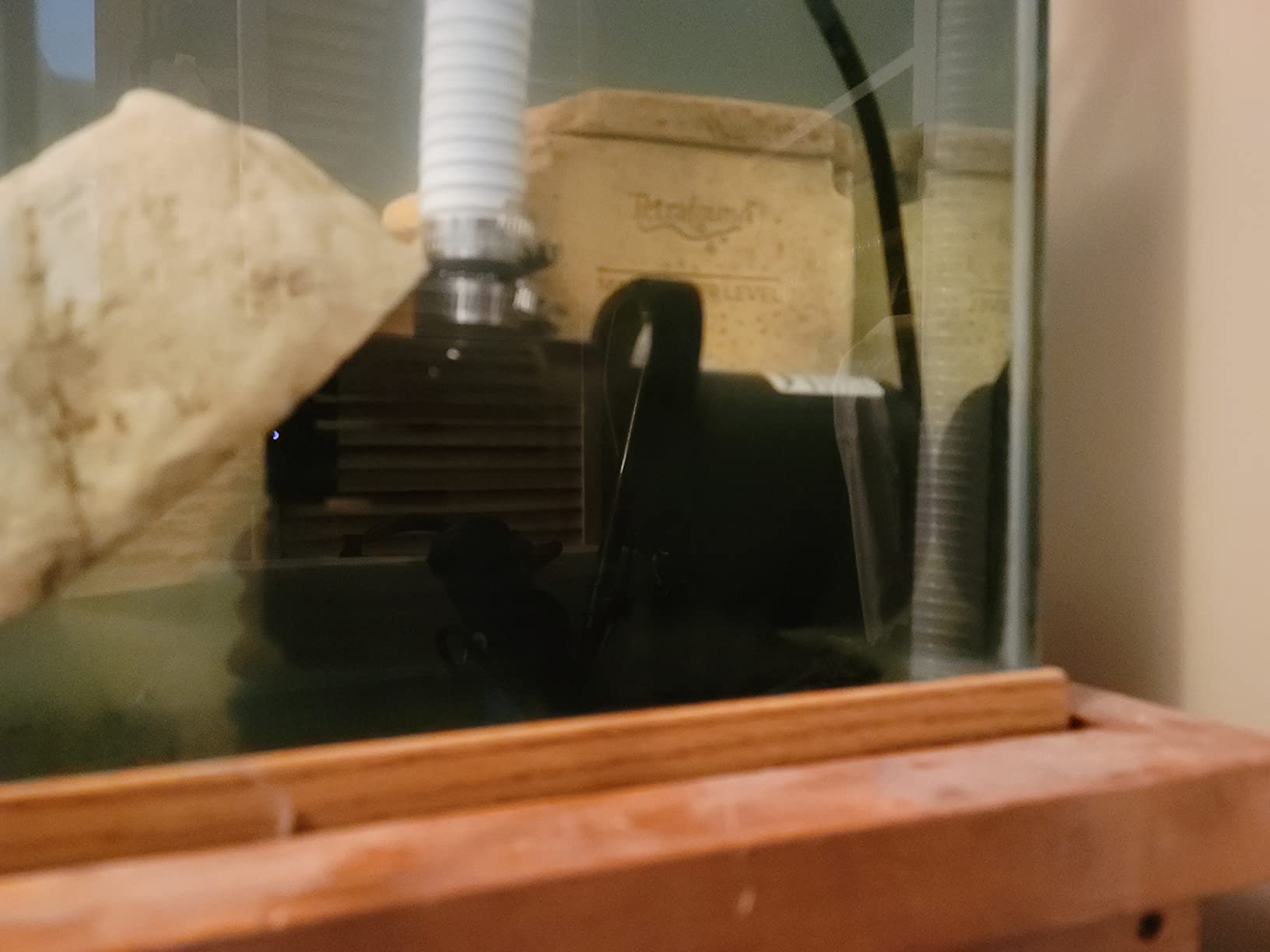 VIVOSUN 1600 GPH Submersible Water Pump 100W Pond Pump, Ultra Quiet Aquarium Pump with 15FT. Lift Height for Pond, Waterfall, Fish Tank, Statuary, Hydroponic customer photo 1