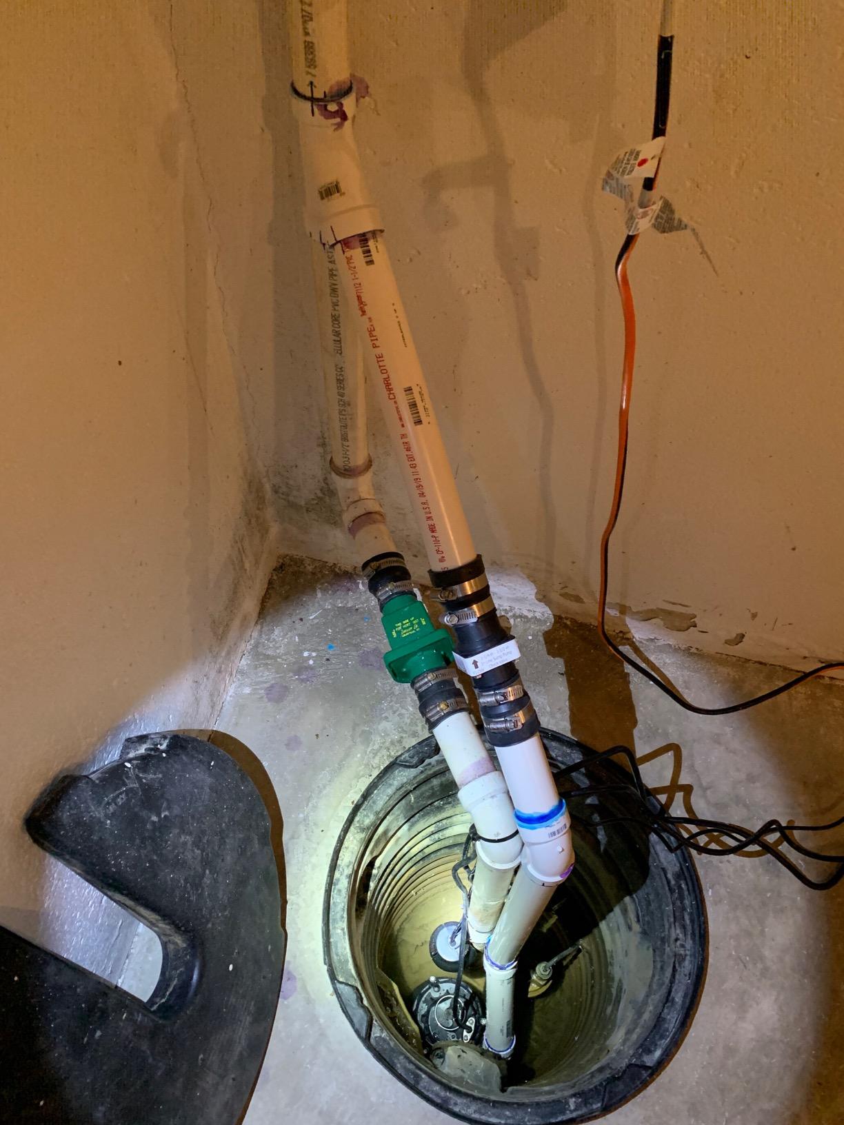 WAYNE ESP25n - 12 Volt Battery Back Up Sump Pump - Up to 2,700 GPH - Heavy Duty customer photo 1