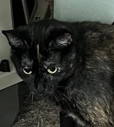 PetLovers Extra Sticky Lint Roller Mega Value Set 450 Sheets for Pet Hair Removal and Clothes, Dog and Cat Lint Remover 5 Pack customer photo 1