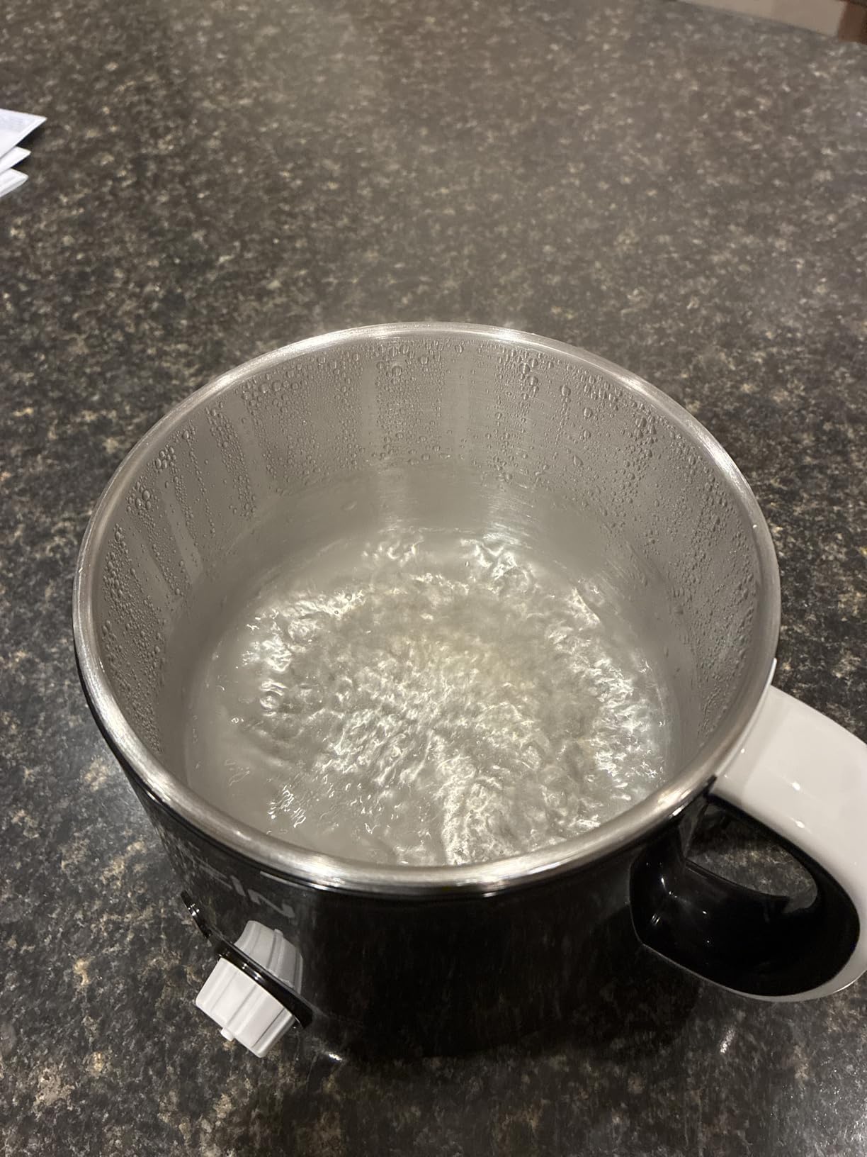 Dezin Hot Pot Electric, Rapid Noodles Cooker, Stainless Steel Electric Pot 1.6 Liter, Perfect for Ramen, Egg, Pasta, Dumpling, Soup, Porridge, Oatmeal with Temperature Control and Keep Warm Function customer photo 1