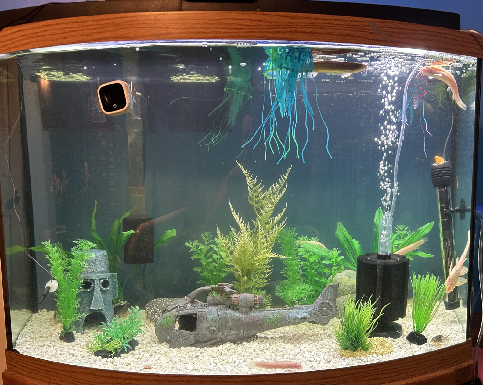 Orlushy Submersible Aquarium Heater, Adjustable Fish Tahk Heater with Free Thermometer Suitable for Marine Saltwater and Freshwater customer photo 2