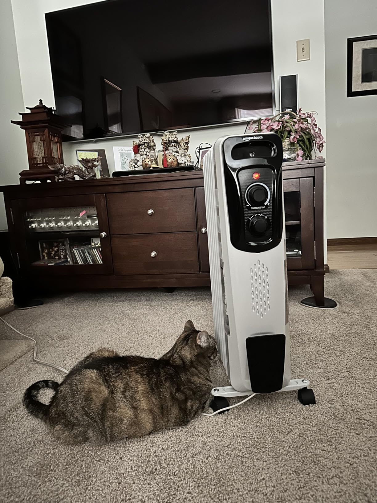 Amazon Basics Portable Oil Radiator Heater, Indoor Use, 3 Heat Settings, Over-Heat Protection, ETL-certified Safety, 7 Oil-Filled Steel Fins, 1500W, White customer photo 1