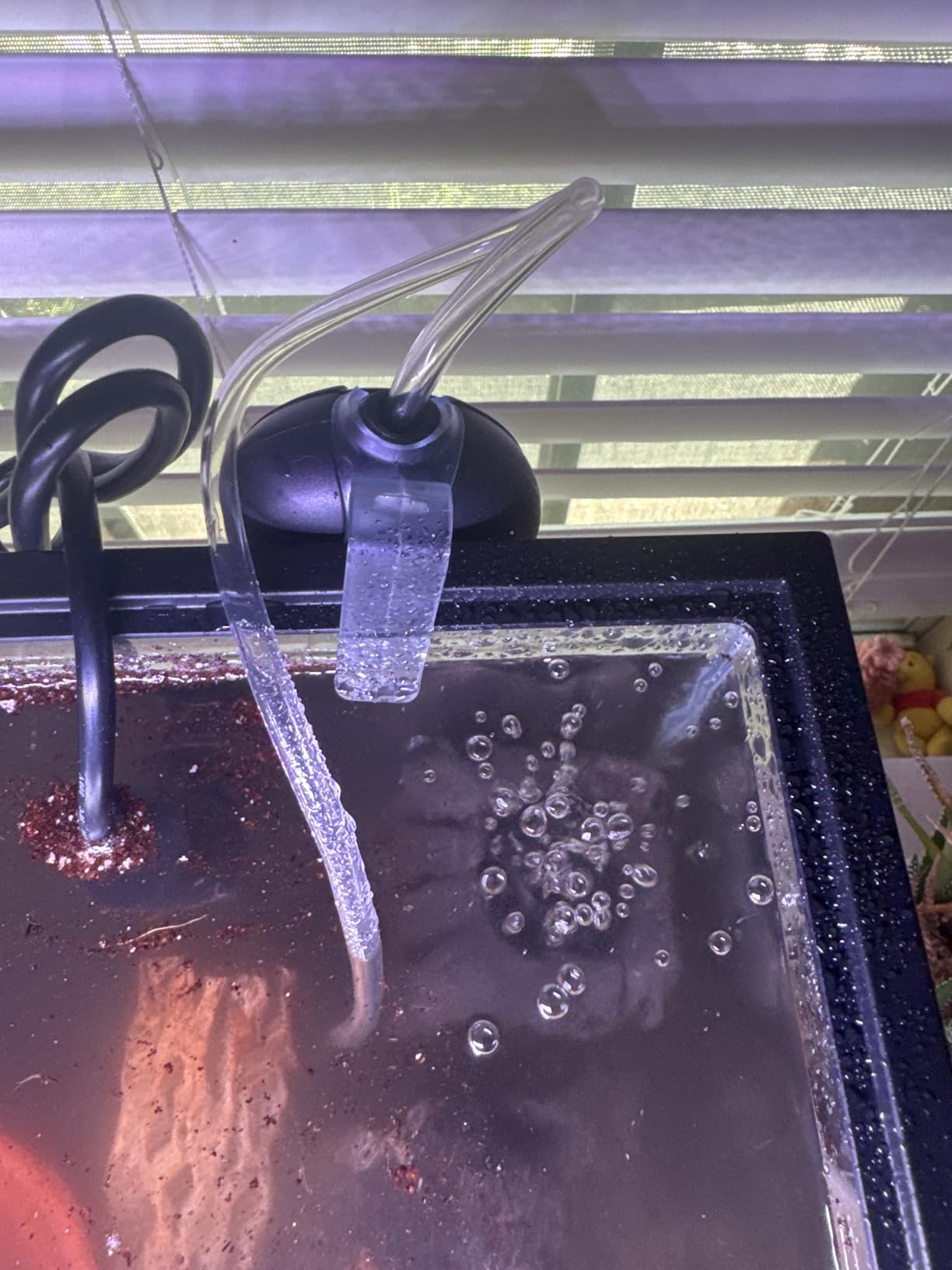 hygger Quiet Mini Air Pump for Aquarium 1.5 Watt Oxygen Fish Air Pump for 1-15 Gallon Fish Tank with Air Stone Air Tubing Clip Black customer photo 2