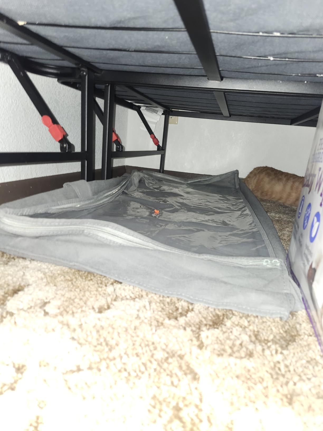 Amazon Basics Under Bed Fabric Zipper Blanket Storage Container Bags with Window and Handles, 2-Pack, 18 x 42 x 6 inches, Gray customer photo 1