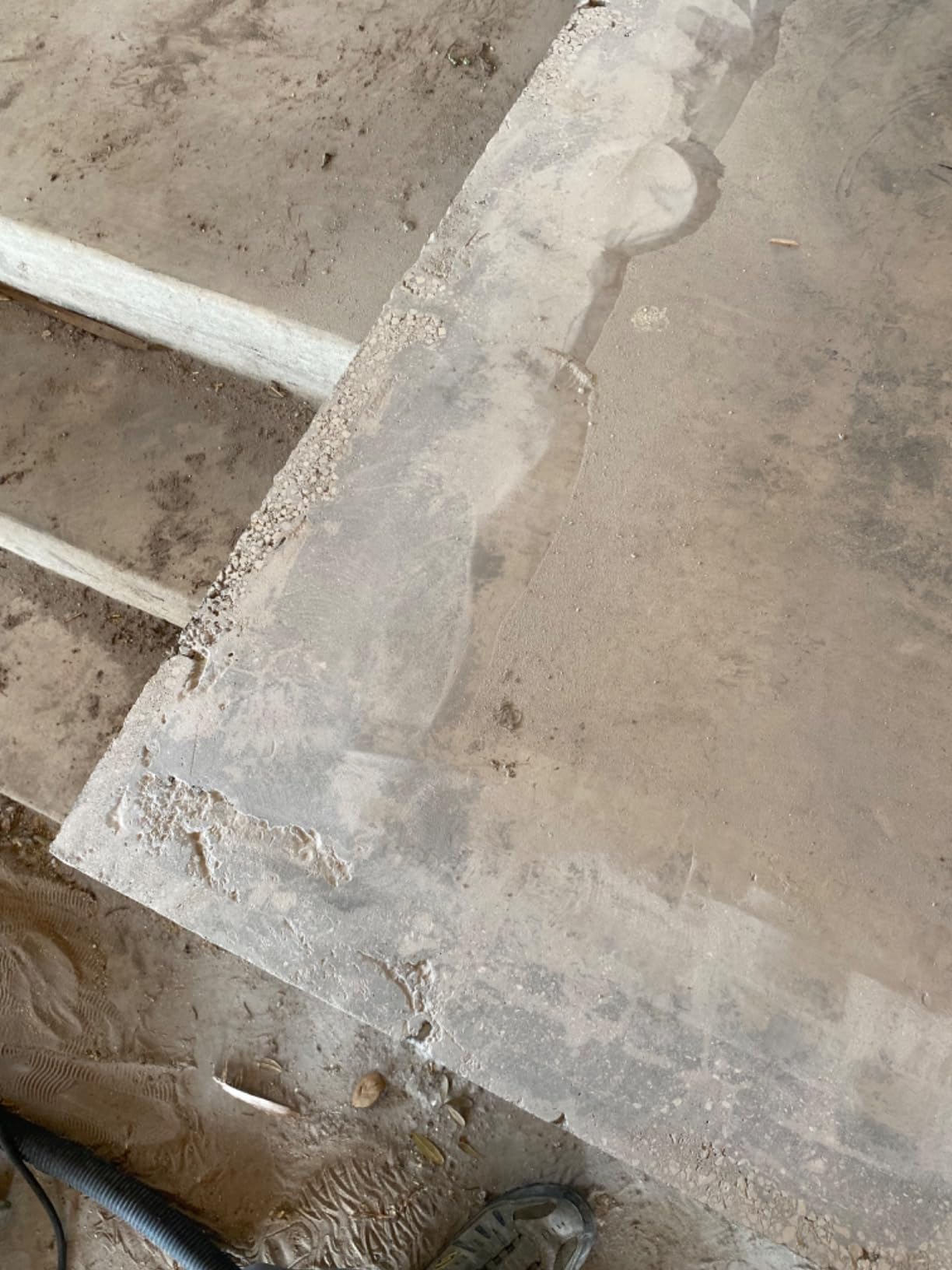 DEWALT Concrete Surface Grinder Kit, 5-Inch (DWE46253) customer photo 1