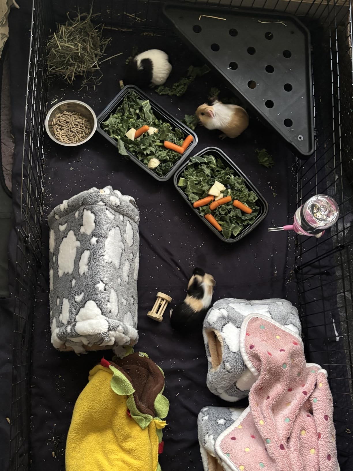 Amazon Basics Leakproof Canvas Bottom Guinea Pig Cage, Easy to Clean Small Animal Habitat with Divider Set, Indoor/Outdoor, Portable, No Tools Needed, 47.6