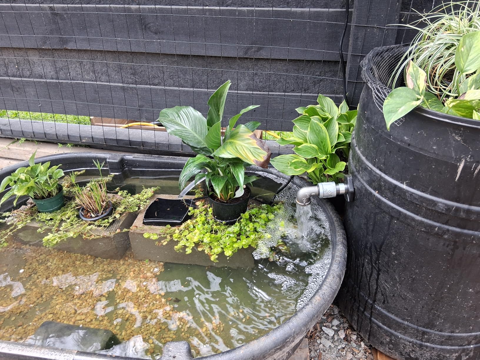 VIVOSUN 800GPH Submersible Pump (3000L/H, 24W), Ultra Quiet Water Fountain Pump with 10ft High Lift with 6.5ft Power Cord, 3 Nozzles for Fish Tank, Pond, Aquarium, Statuary, Hydroponics Green customer photo 1