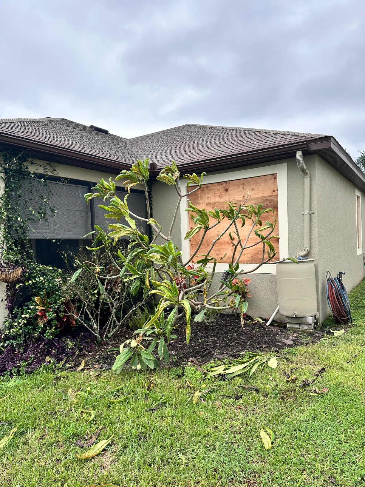 Universal Hurricane Window Clips, Stainless, 1/2