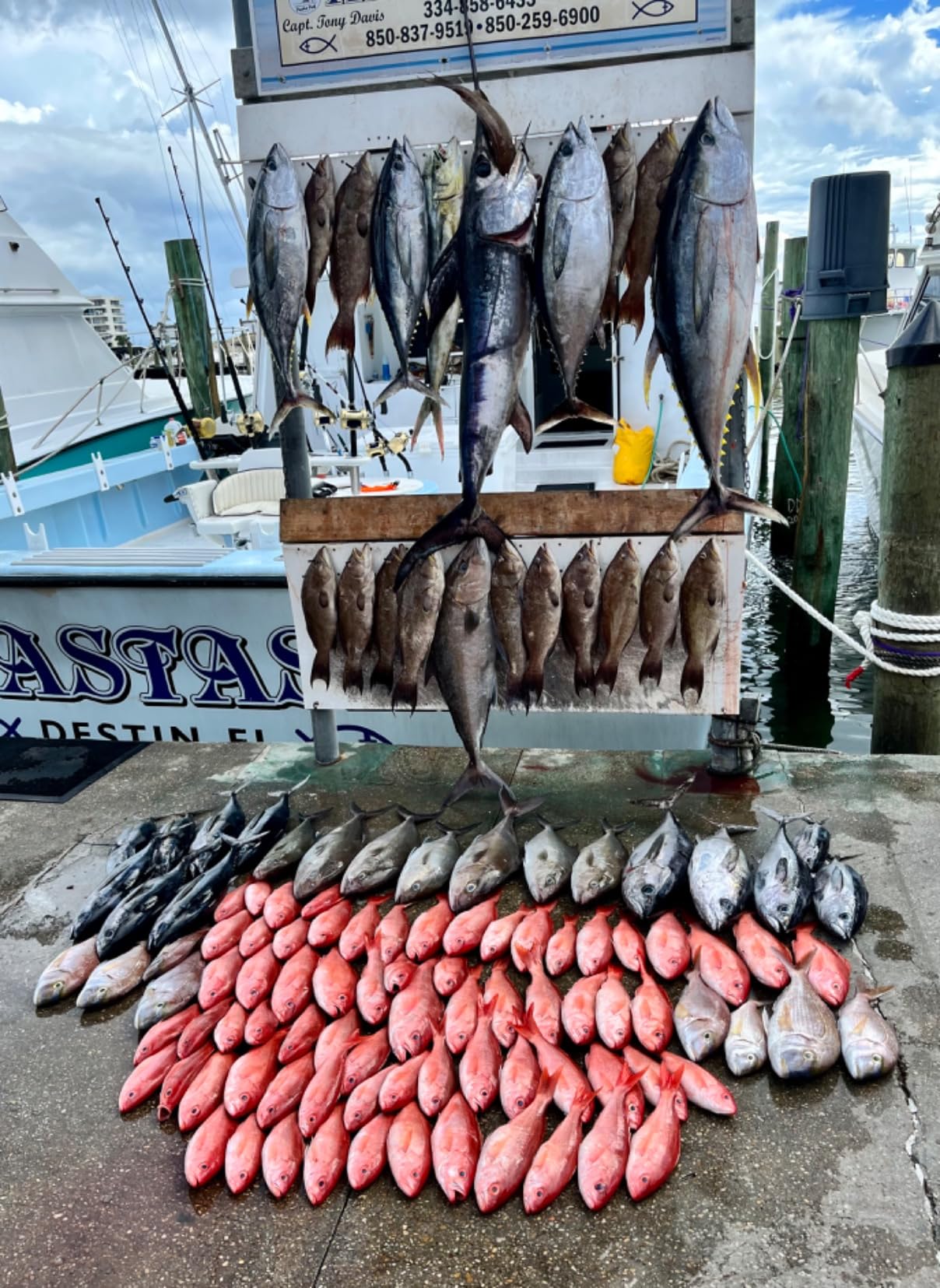 Daiwa 19 Seaborg 500MJ (Electric Reel) customer photo 1