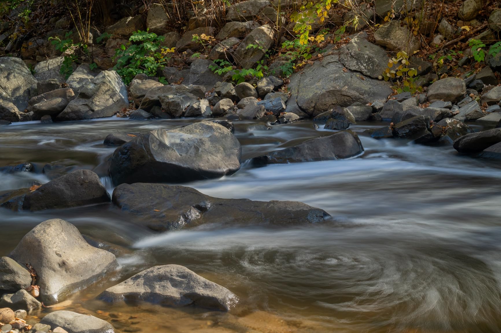 Nikon NIKKOR Z 24-70mm f/2.8 S - Professional Standard Zoom for Z Series customer photo 1