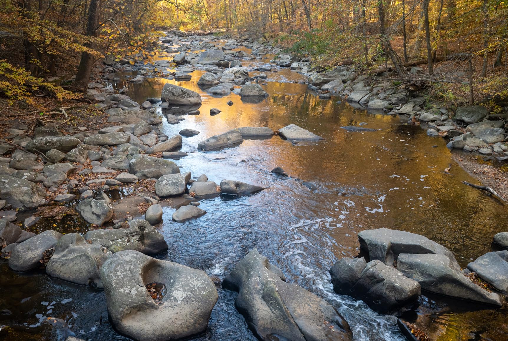 Nikon NIKKOR Z 24-70mm f/2.8 S - Professional Standard Zoom for Z Series customer photo 2