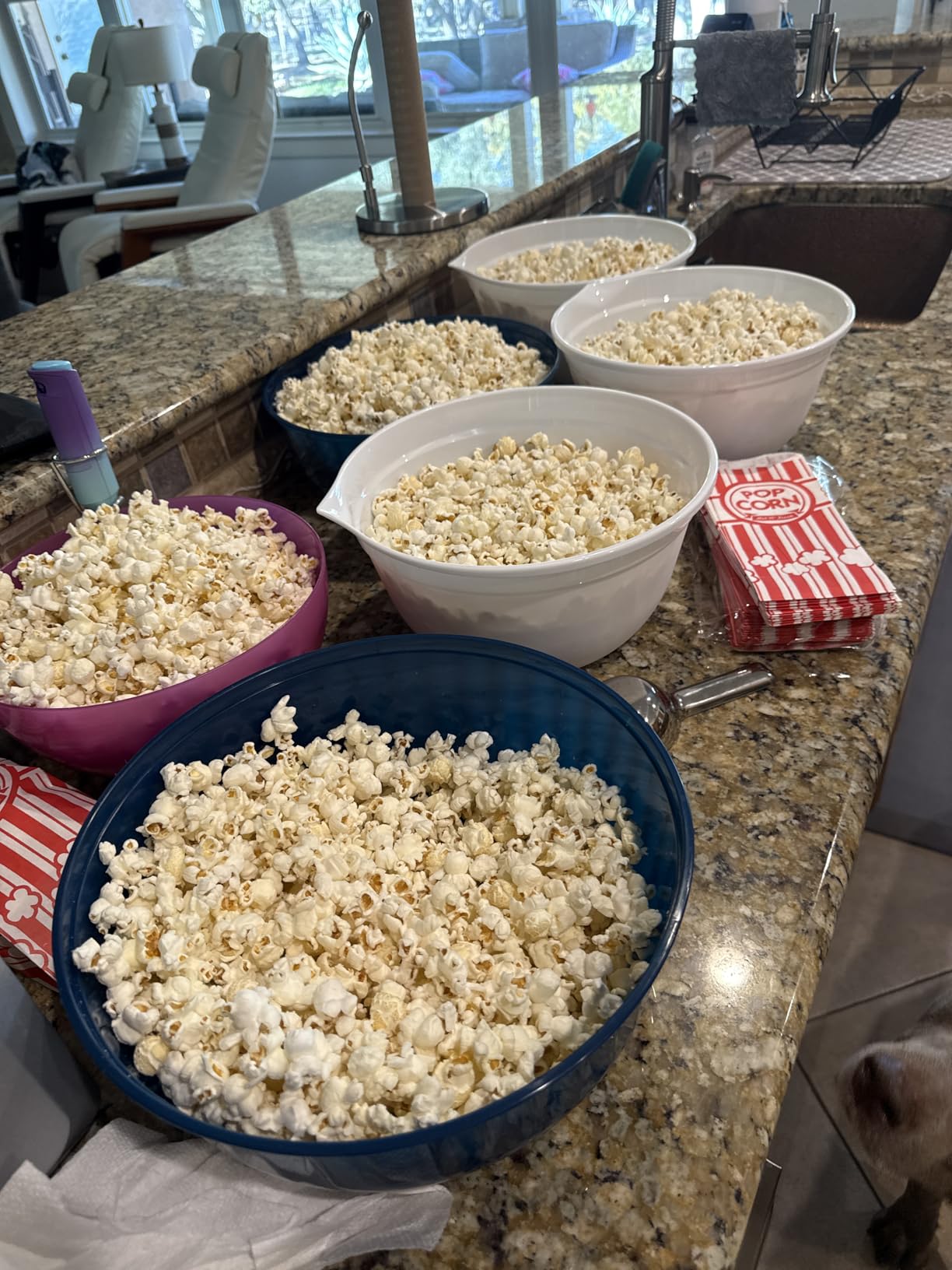 DASH Fresh Pop Popcorn Maker - Oil-Free, Air Popcorn Popper - With Measuring Cup & Recipe Guide - Perfect for Movie Nights - 16 Cups, Aqua customer photo 2