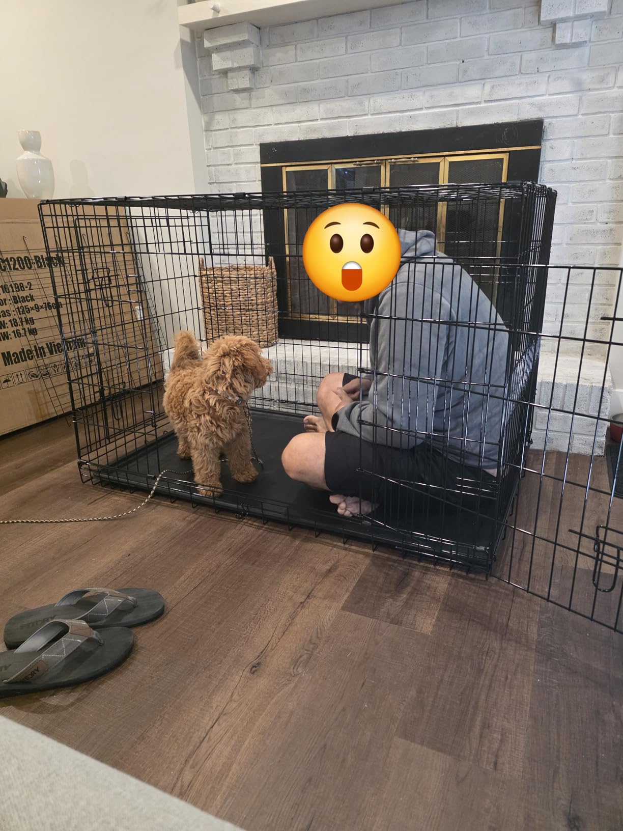 BestPet 48 inch Dog Crate, Black, Foldable Metal Kennel with Double Doors, Secure Slide-Bolt Latches, Leakproof Tray, Portable Dog Cage for Large Breeds, for Travel, Indoor & Outdoor Use customer photo 1