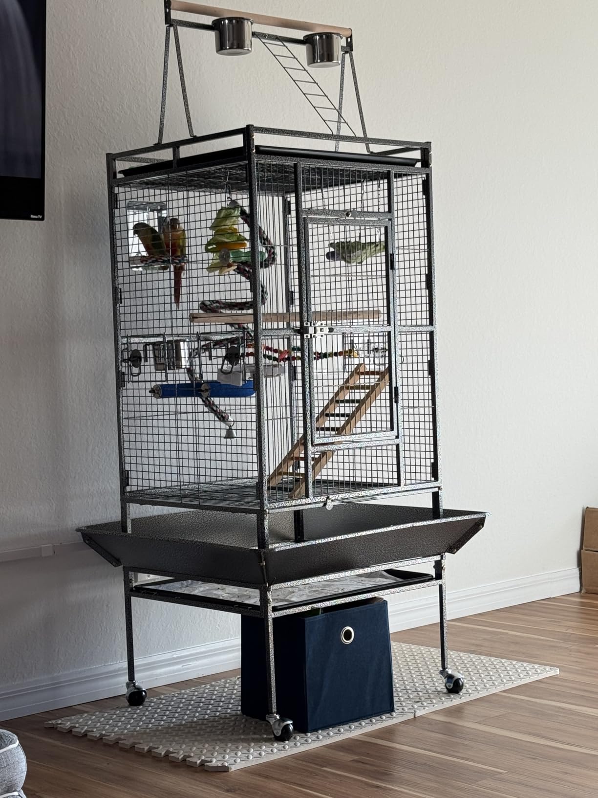 ZENY 68-Inch Birdcage, Playtop Parrot Cage, Wrought Iron Bird Cage with Rolling Stand, Heavy-Duty Pet Bird House for Parrot Cockatiel Cockatoo Parakeet Macaw Finches, Black customer photo 1