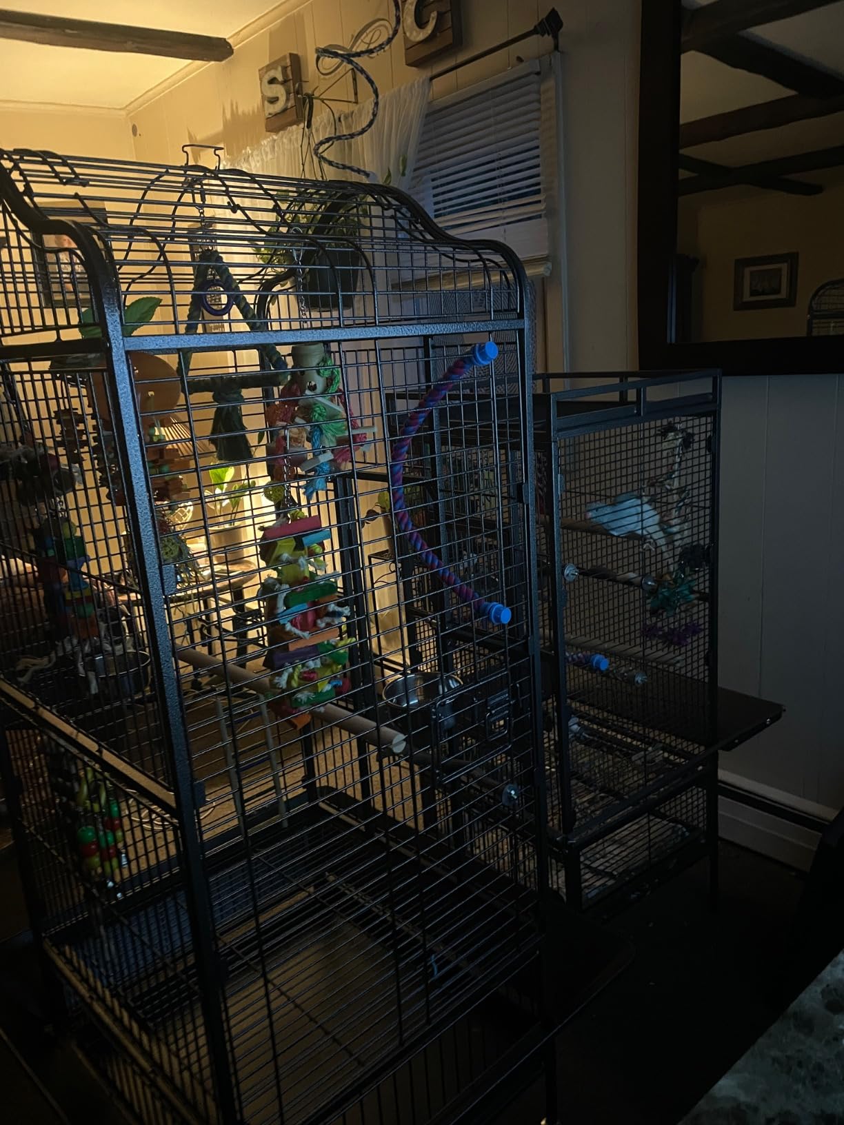 Yaheetech Extra Large Bird Cage 63'' Open Play Top Bird Cage for African Grey Parrots/Amazon Parrot/Caiques/Macaw with 360° Wheels customer photo 1