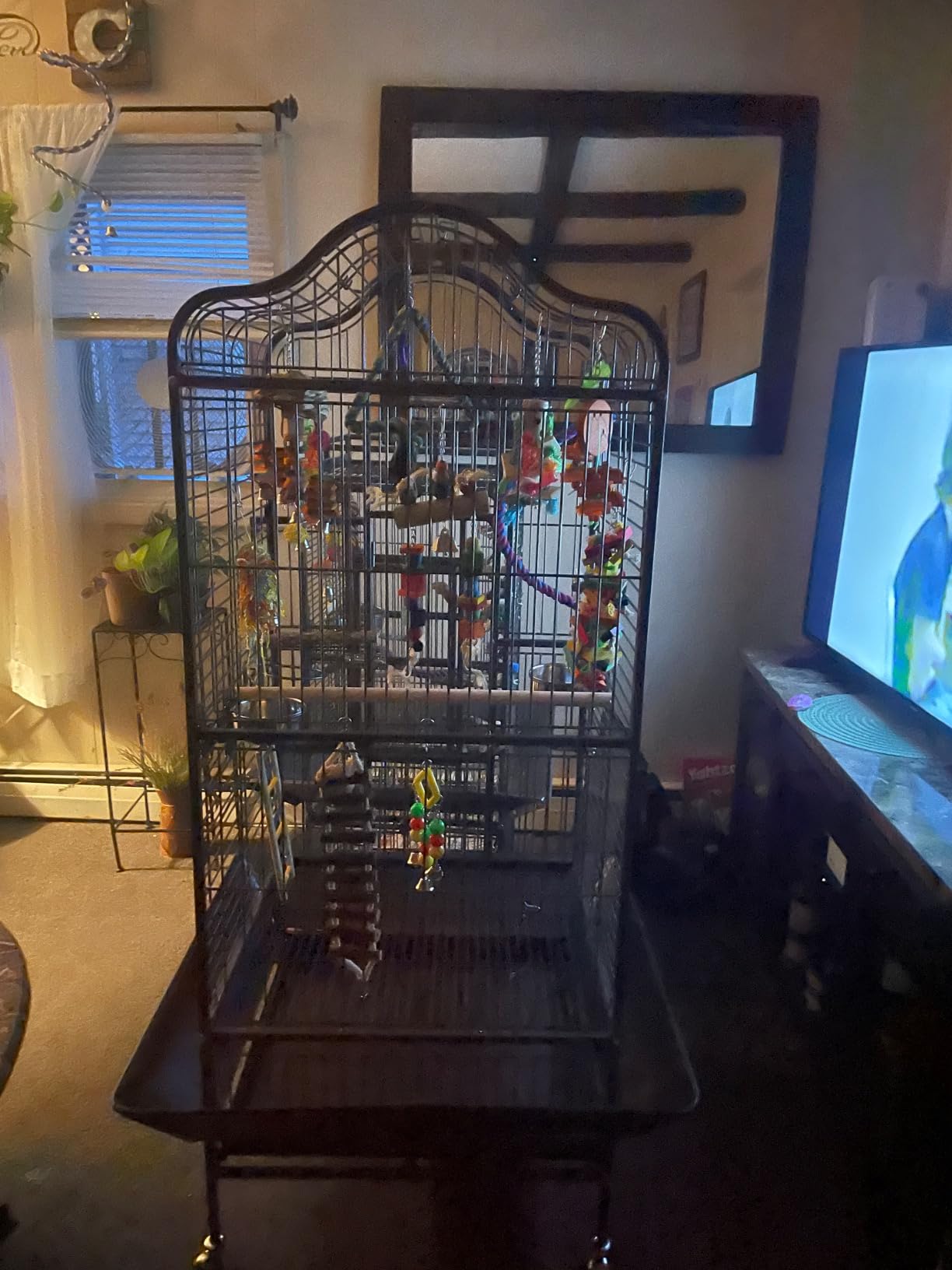 Yaheetech Extra Large Bird Cage 63'' Open Play Top Bird Cage for African Grey Parrots/Amazon Parrot/Caiques/Macaw with 360° Wheels customer photo 2
