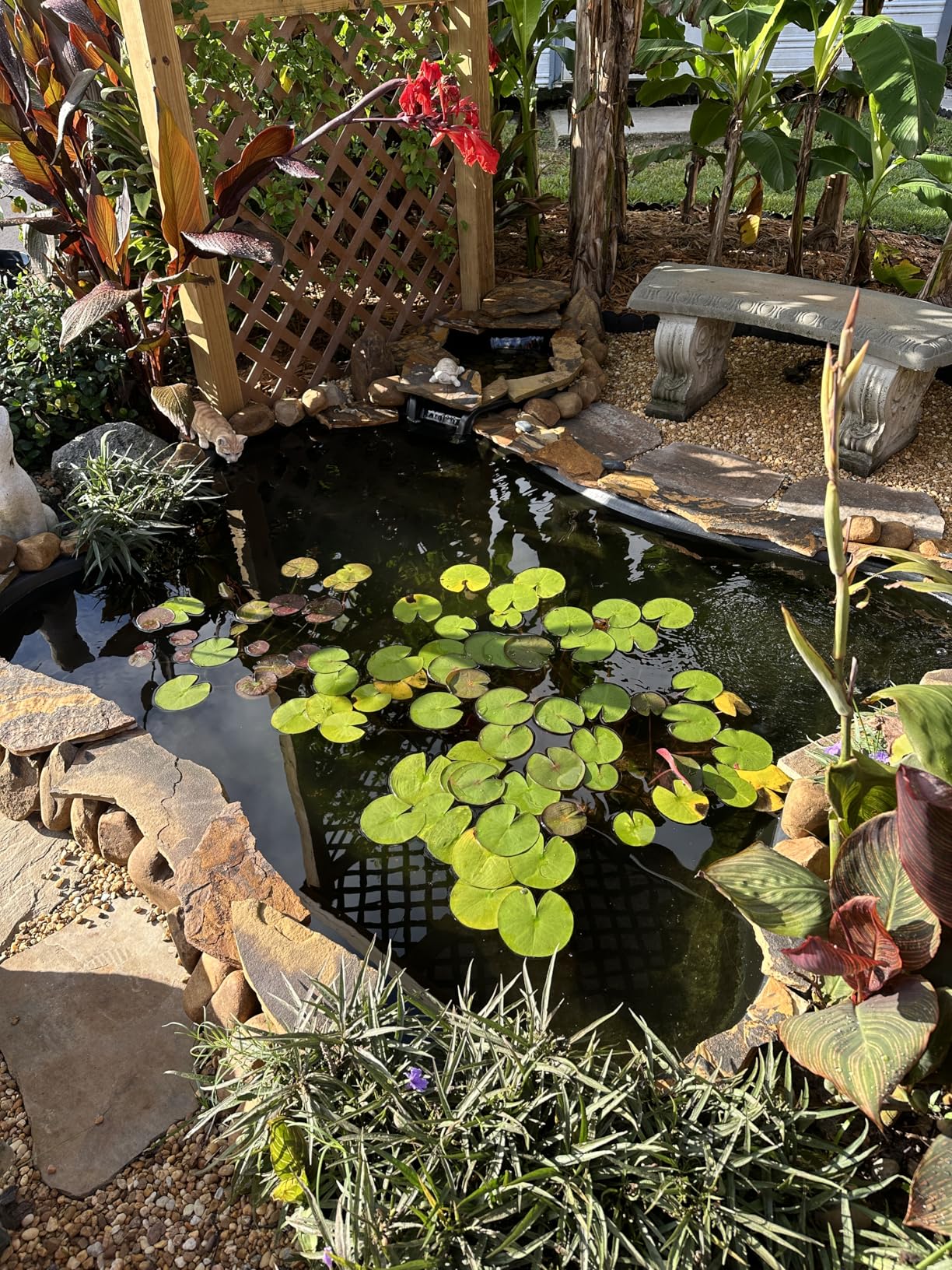 The Pond Guy UltraUV Ultraviolet Pond Water Clarifier, EPA Registered UV Light, Planktonic Algae & Green Water UVC Treatment, 13 Watt customer photo 1