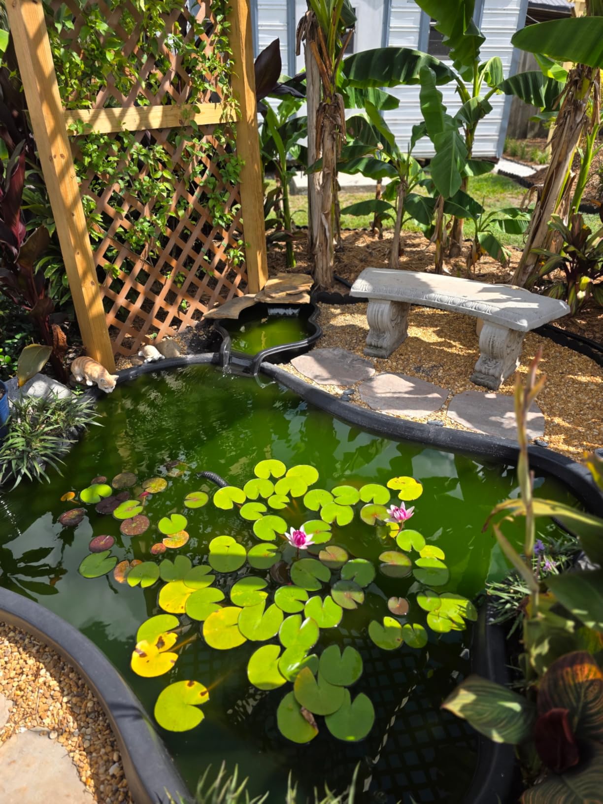 The Pond Guy UltraUV Ultraviolet Pond Water Clarifier, EPA Registered UV Light, Planktonic Algae & Green Water UVC Treatment, 13 Watt customer photo 2