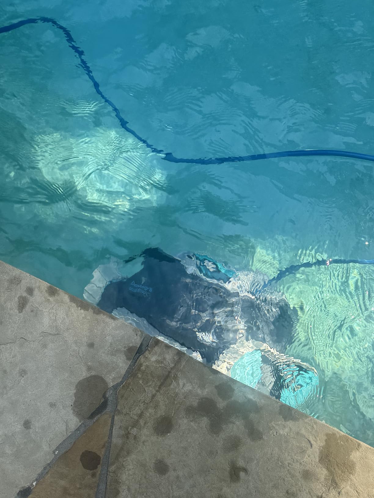 Dolphin Advantage Automatic Robotic Pool Vacuum Cleaner, Wall Climbing, Active Scrubber Brush, Ideal for In-Ground Pool Types up to 33 FT in Length customer photo 1