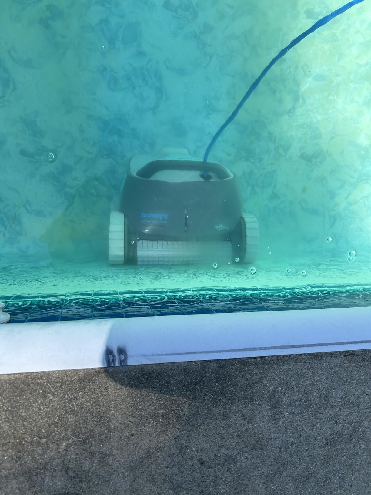Dolphin Advantage Automatic Robotic Pool Vacuum Cleaner, Wall Climbing, Active Scrubber Brush, Ideal for In-Ground Pool Types up to 33 FT in Length customer photo 2