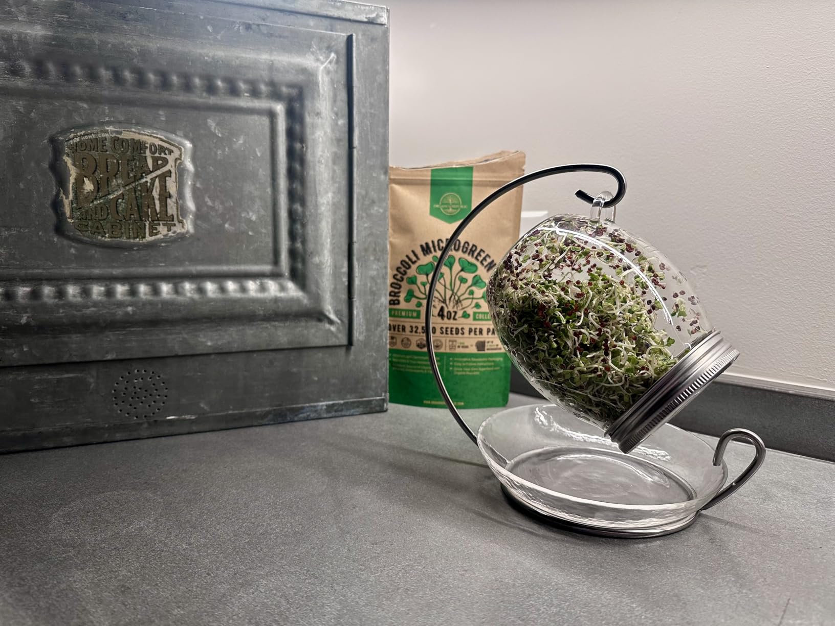 Premium Sprouting Jar Kit - Unique 30 oz Wide Mouth Sprouting Jar, Stand, Tray and 316 Stainless Screen Lid | Decorative Indoor Seed Sprouter and Germinator (1 Kit) customer photo 1