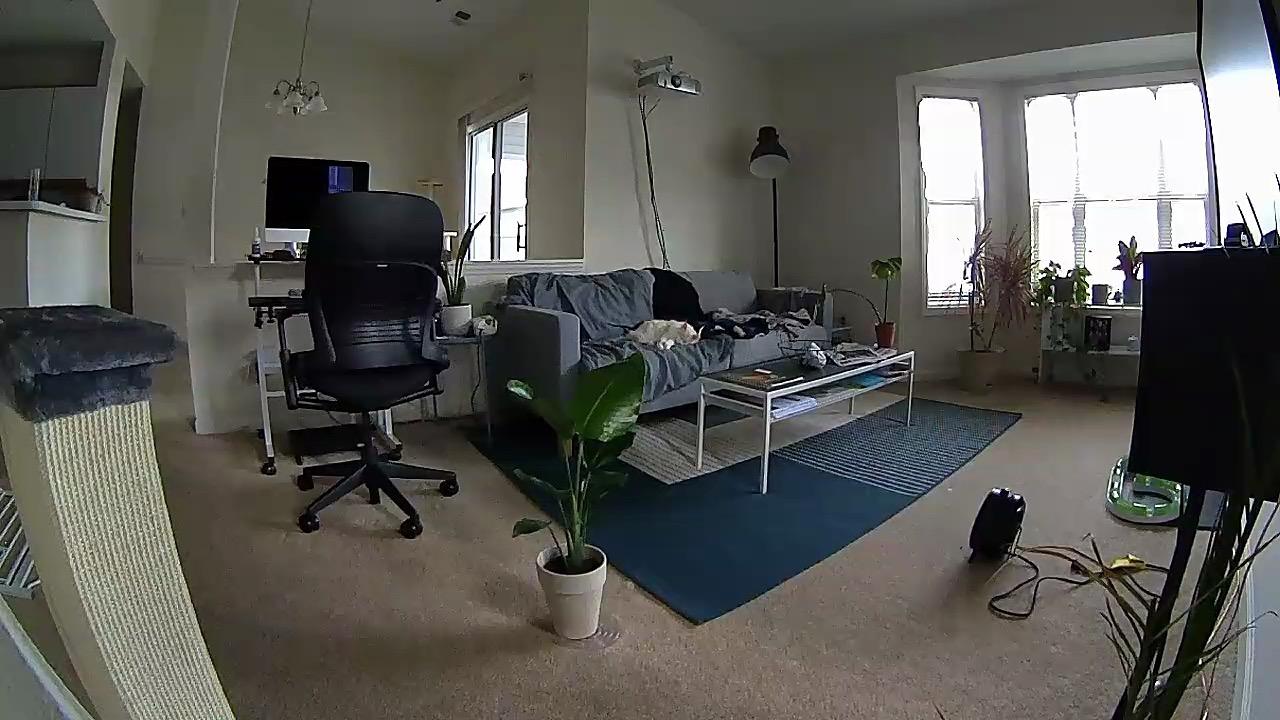 Petcube Play 2 Wi-Fi Pet Camera with Laser Toy for Cats & Dogs, 1080P HD Video, 160° Full-Room View, 2-Way Audio, Sound/Motion Alerts, Night Vision customer photo 1