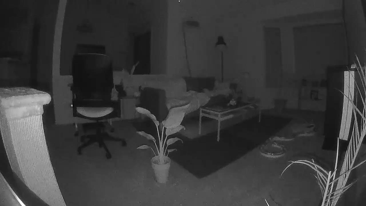 Petcube Play 2 Wi-Fi Pet Camera with Laser Toy for Cats & Dogs, 1080P HD Video, 160° Full-Room View, 2-Way Audio, Sound/Motion Alerts, Night Vision customer photo 2