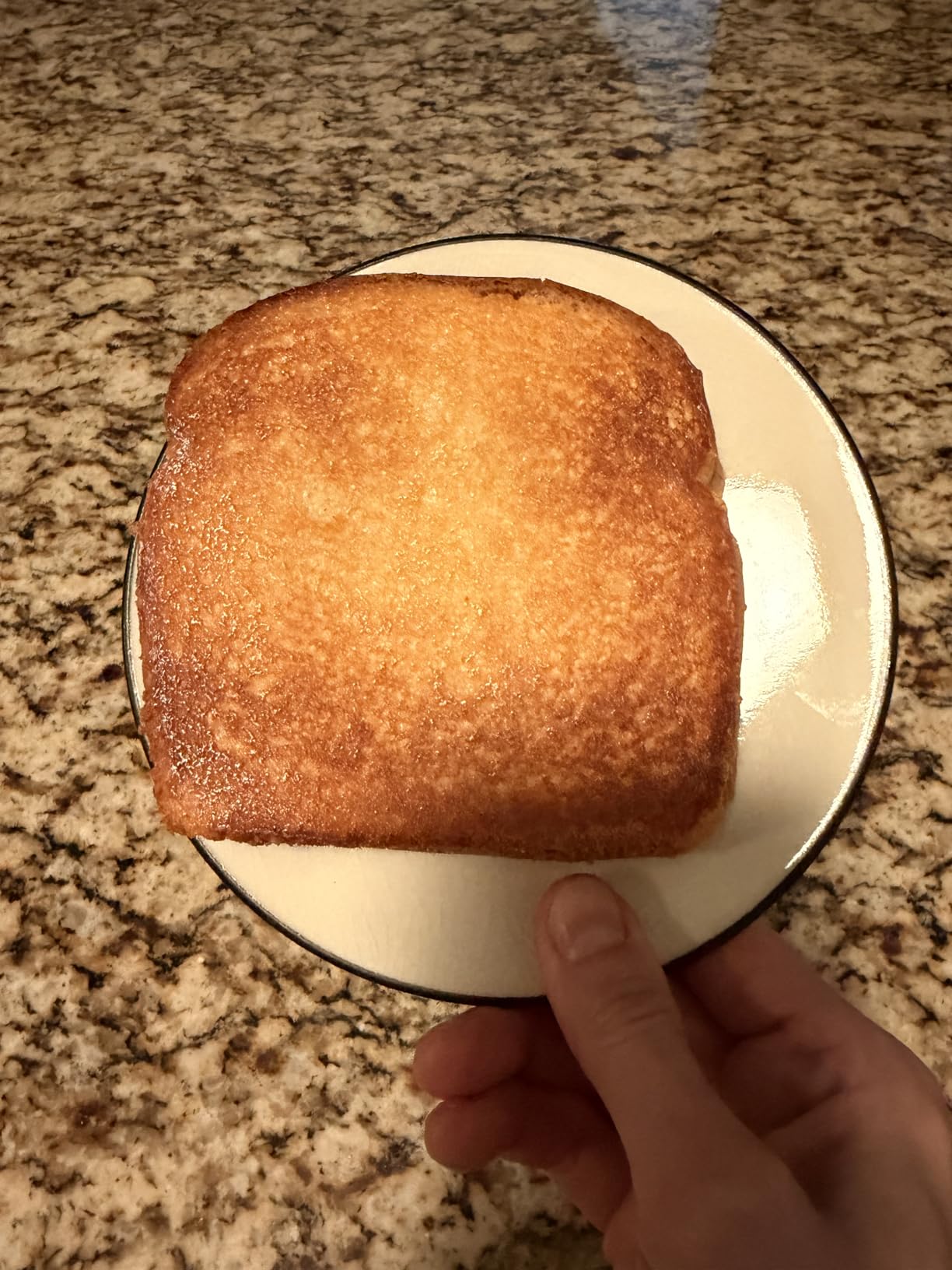 Proctor Silex Deluxe Hot Sandwich Maker With Easy-Clean Durable PFAS-Free Nonstick Ceramic Plates, Fits up to 2 Grilled Cheese, Ruebens, Tortas or Subs, Stainless Steel (25415MN) customer photo 1