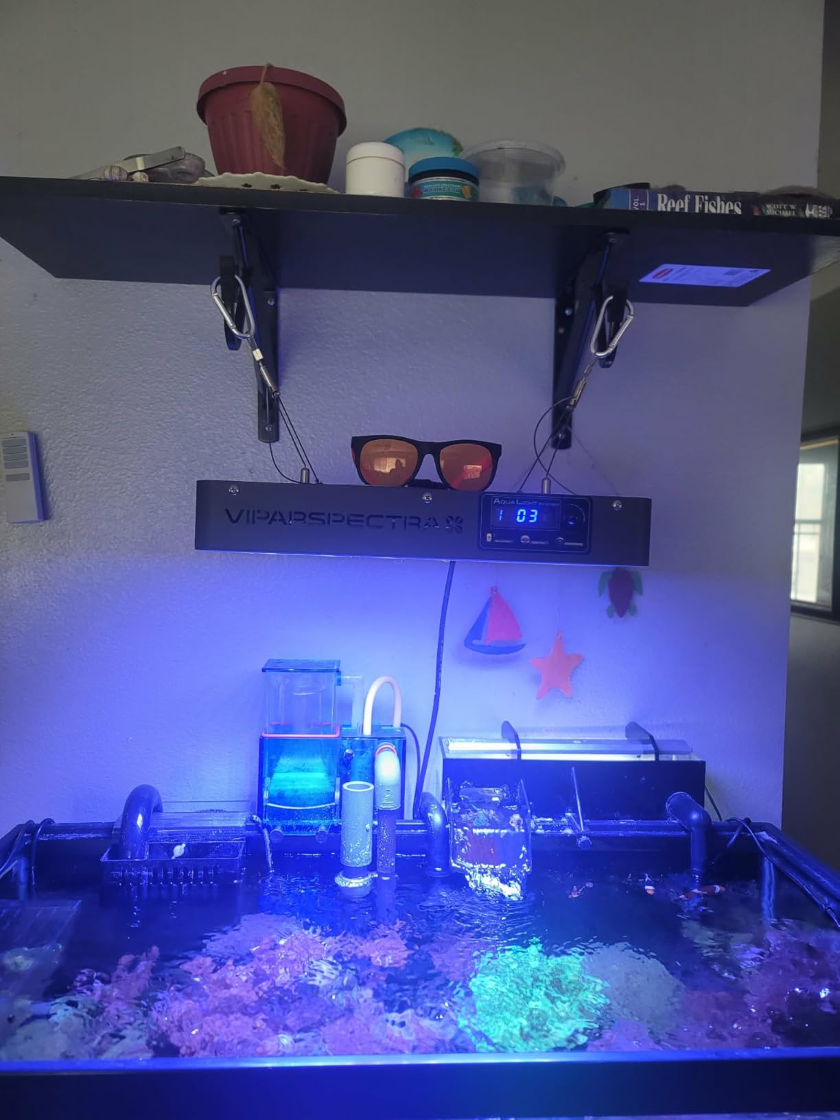 VIPARSPECTRA 165W LED Aquarium Light Dimmable Full Spectrum LED Reef Lights for Coral Saltwater Fish Tank, Remote/Timer Control, Programmable Auto On/Off, Blue/White Dual Channel Brightness 0-100% customer photo 2