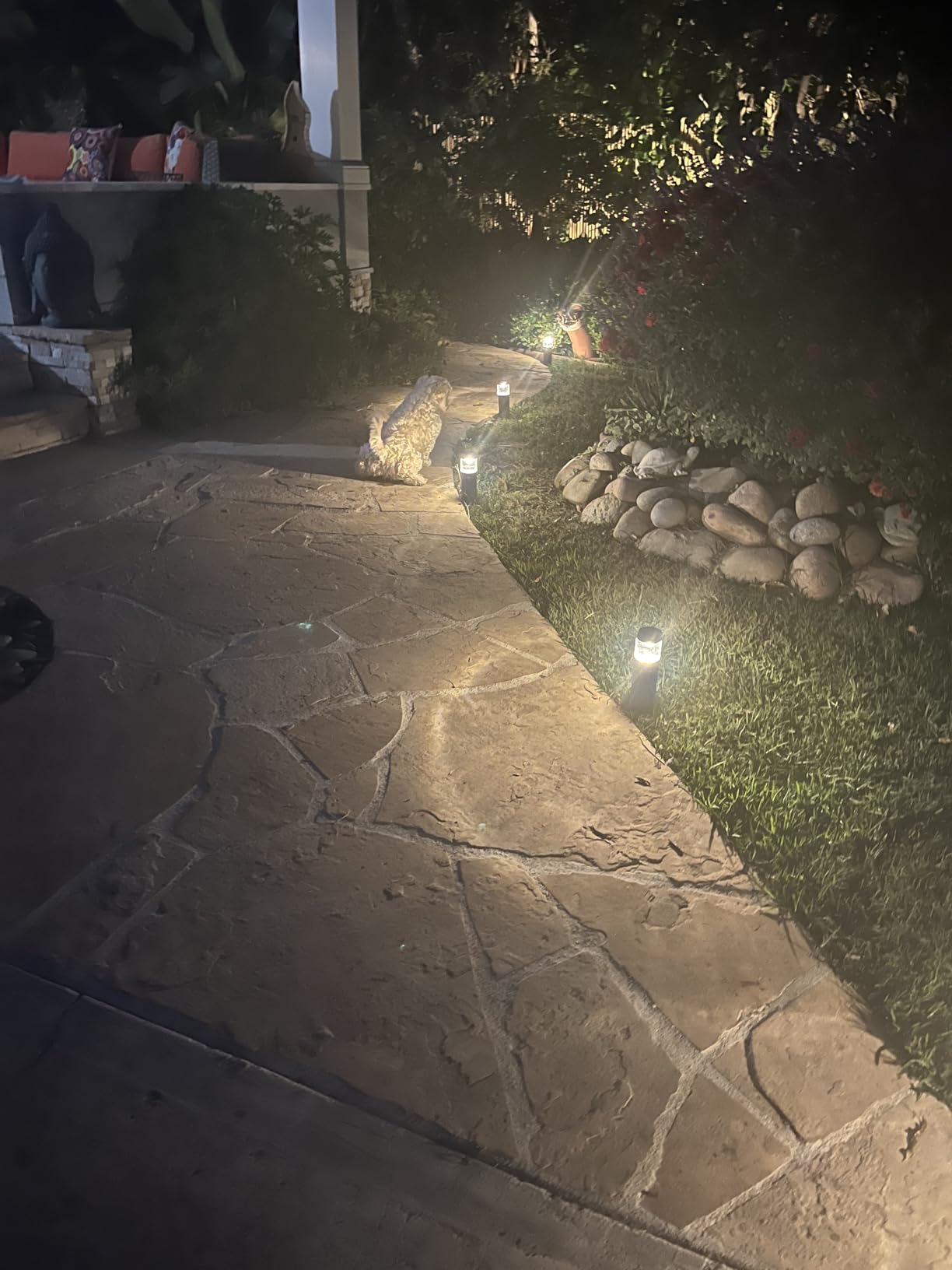 hykolity Low Voltage Landscape Lights, 3W 191LM 12V-15V LED Round Bollard Light, Wired Outdoor Walkway Light Path Lights for Yard Lawn, Aluminum Construction, 30 Watt Equivalent, 6 Pack customer photo 2