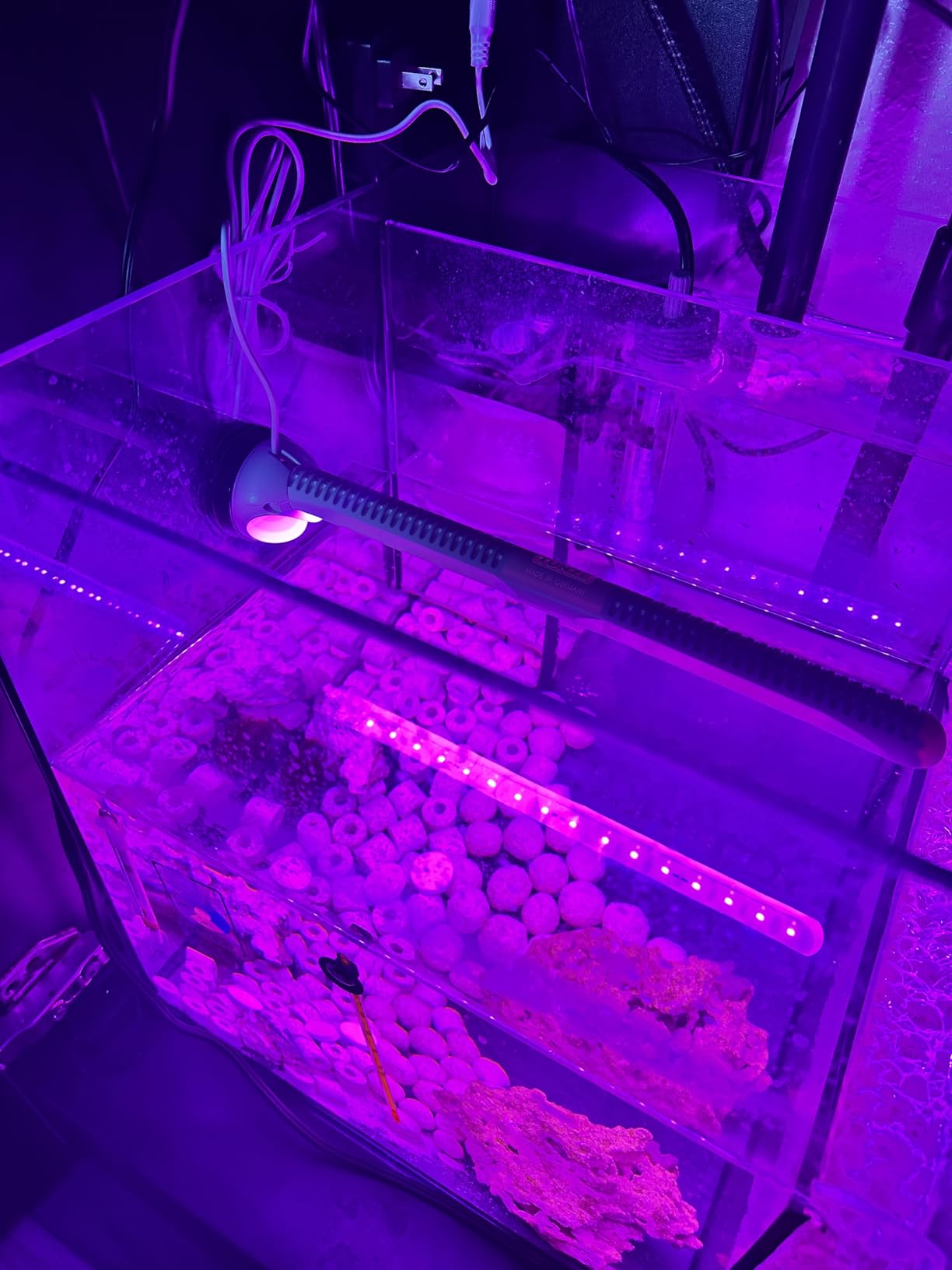 Tunze Eco Chic Refugium 8831 customer photo 1