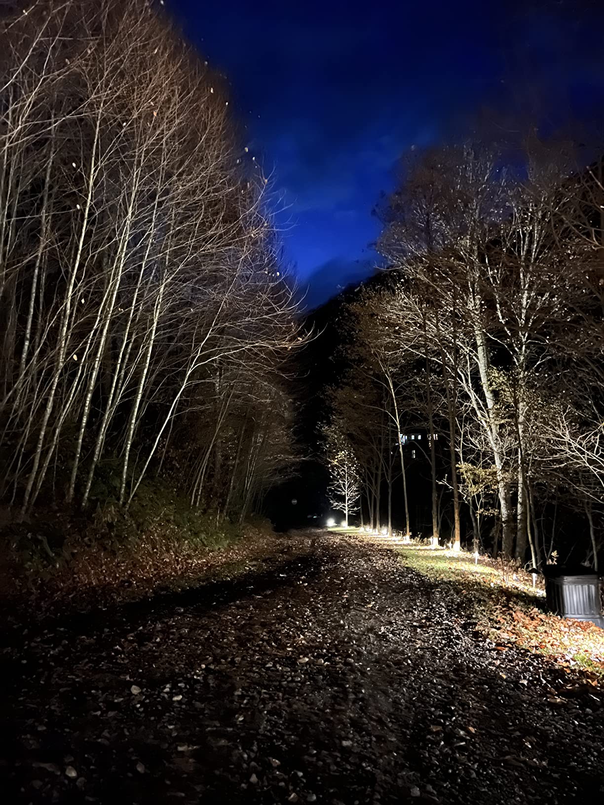 DEWENWILS 300W Low Voltage Landscape Transformer, Outdoor Weatherproof Transformer with Timer and Photocell Sensor, 120V AC to 12V/12V AC for LED Lighting, Spotlight, Pathway Light, ETL Listed customer photo 2