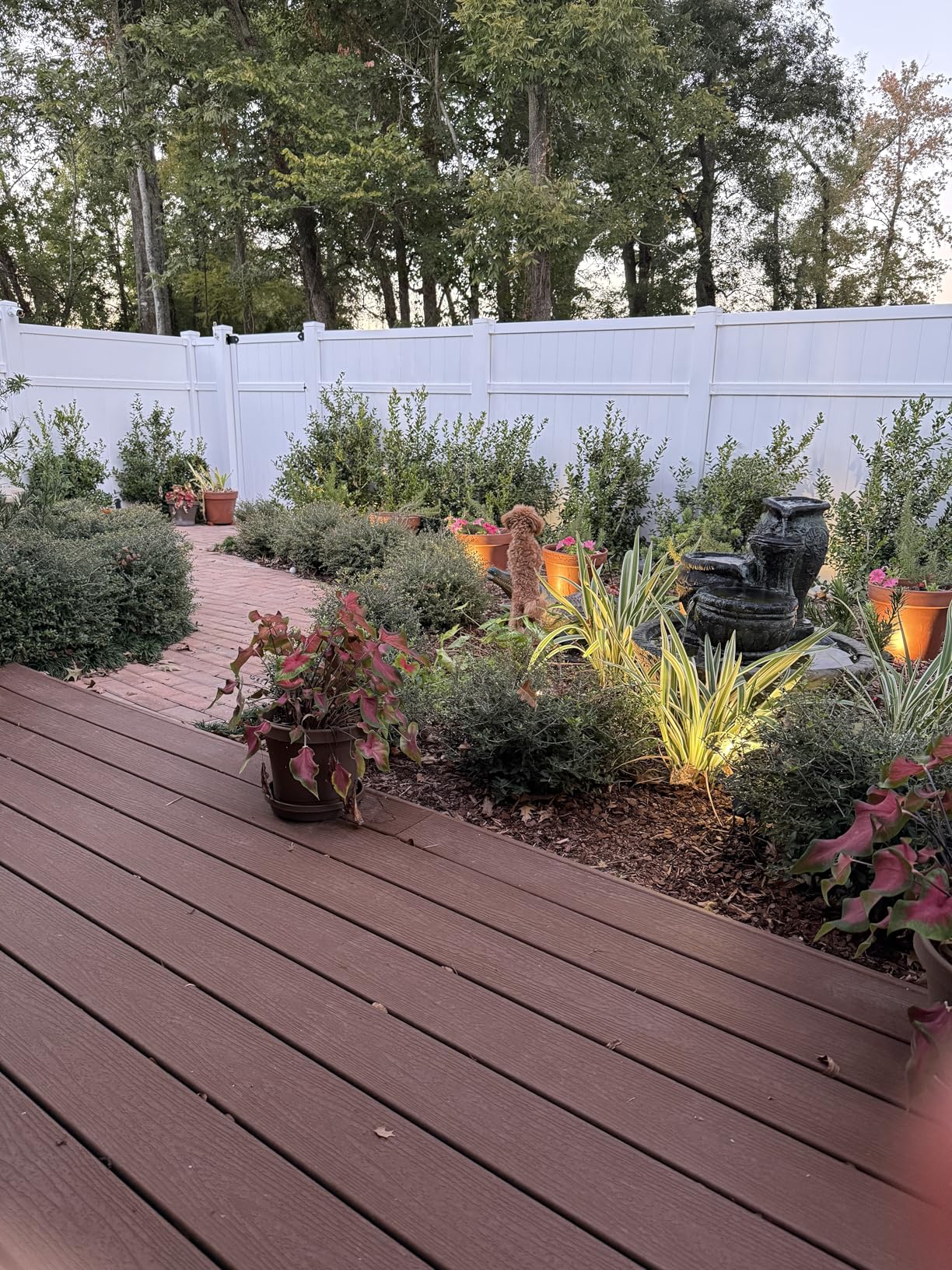 ZUCKEO Low Voltage Landscape Lights LED Well Lights 3W 12V-24V in Ground Light IP67 Waterproof Outdoor Low Voltage Landscape Lighting for Floor Driveway Deck Step Garden (8 Pack Warm White) customer photo 1