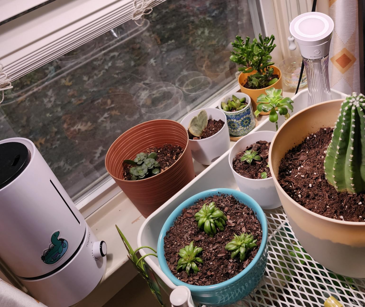 raydrop Cool Mist Humidifiers for Home Babies, 1.70 L Quiet and Small Ultrasonic Humidifier for Bedroom Nightstand, Space Saving, Auto Shut Off - (0.45 Gallon, US 110 V) customer photo 2