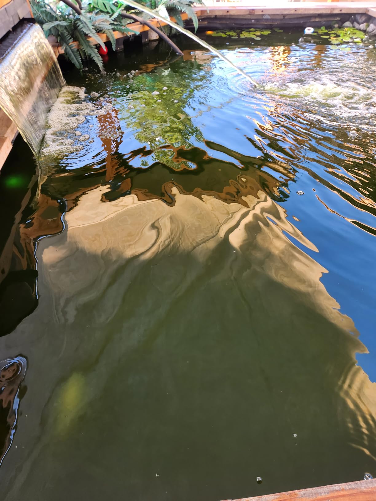 VIVOHOME Bio Pressure Pond Filter with 13W Light, 2630 GPH Suitable for Koi Ponds up to 1300 Gallons or Ornamental Ponds up to 2600 Gallons customer photo 1