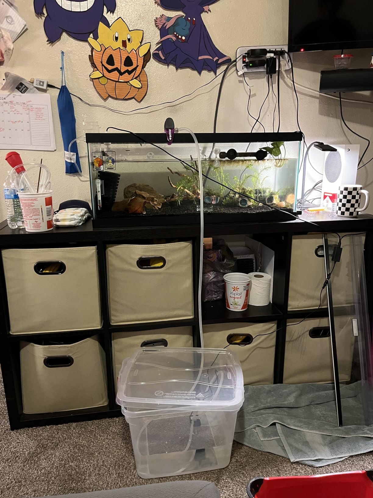 DIGITEN Smart Auto Top Off System, Aquarium ATO, Fish Tank Sump Water Filler Refiller, Automatic ATO System for Aquarium with Pump customer photo 1
