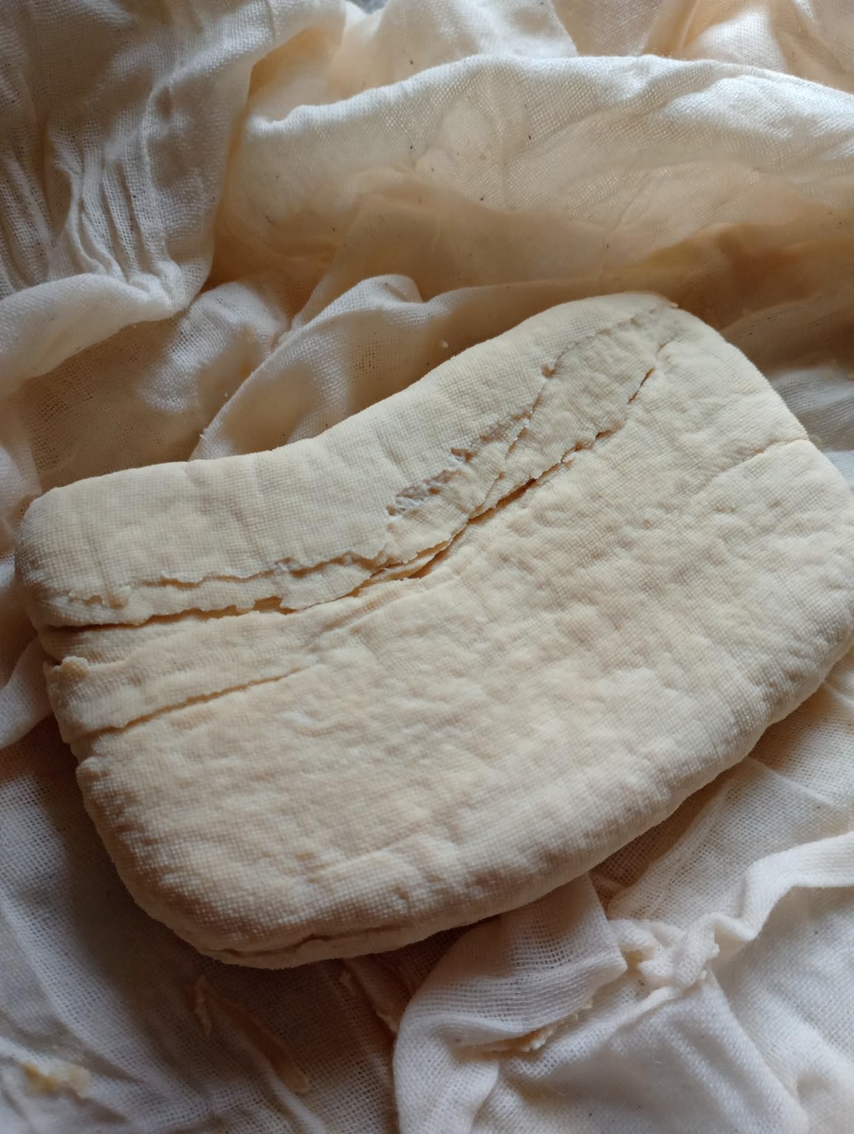 Extra Firm Tofu Press by Healthy Express - Premium Curved Plates for Superior Pressing Results on Firm and Extra Firm Tofu. Healthy Eating is Now Easier. (2-Post/2-Spring) customer photo 2