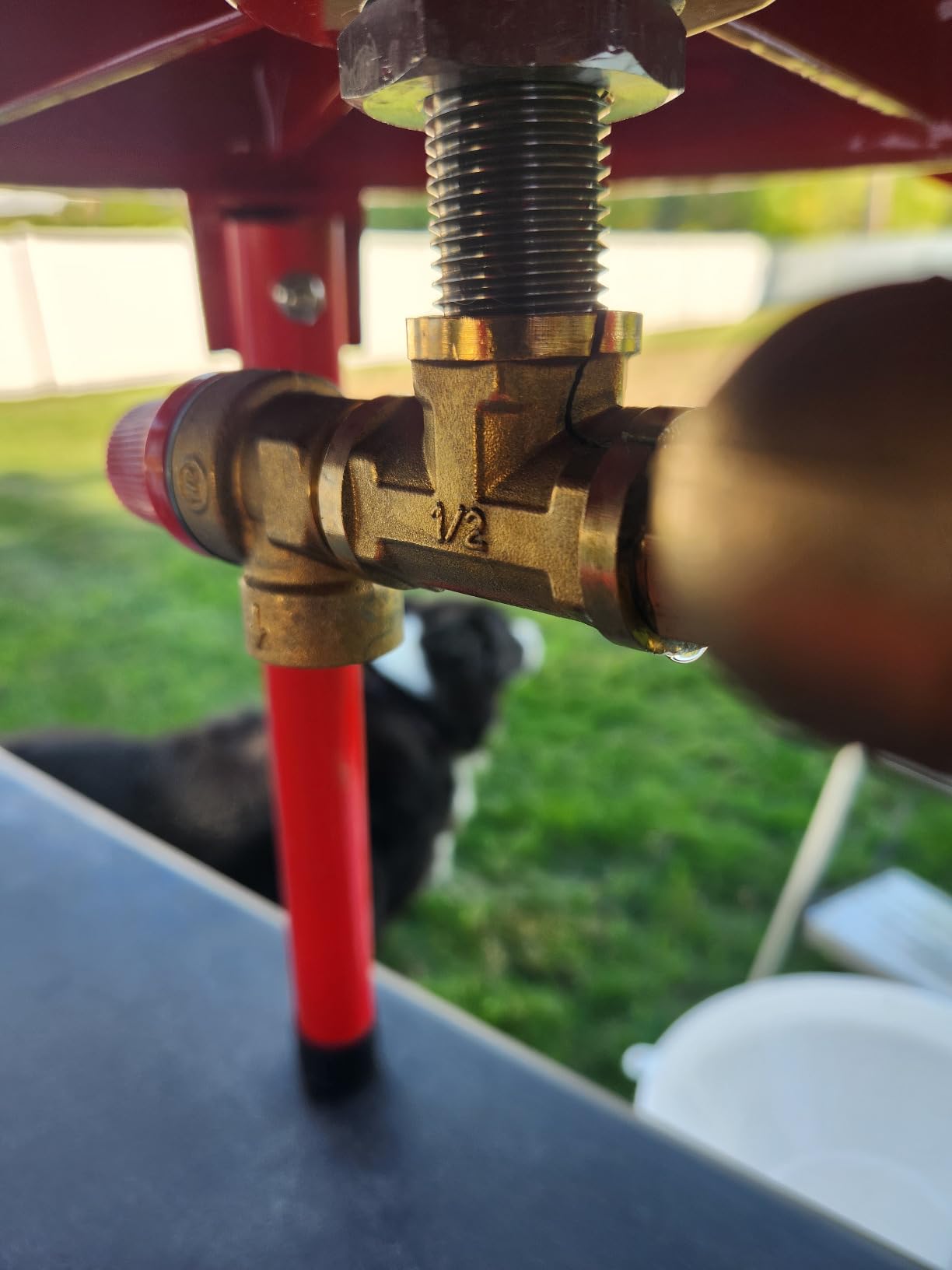 SQUEEZE master Hydraulic Fruit Wine Apple Press -5.3Gallon/20L -Stainless Steel for Wine Cider Making with Filter Bag&Splash Guard customer photo 1