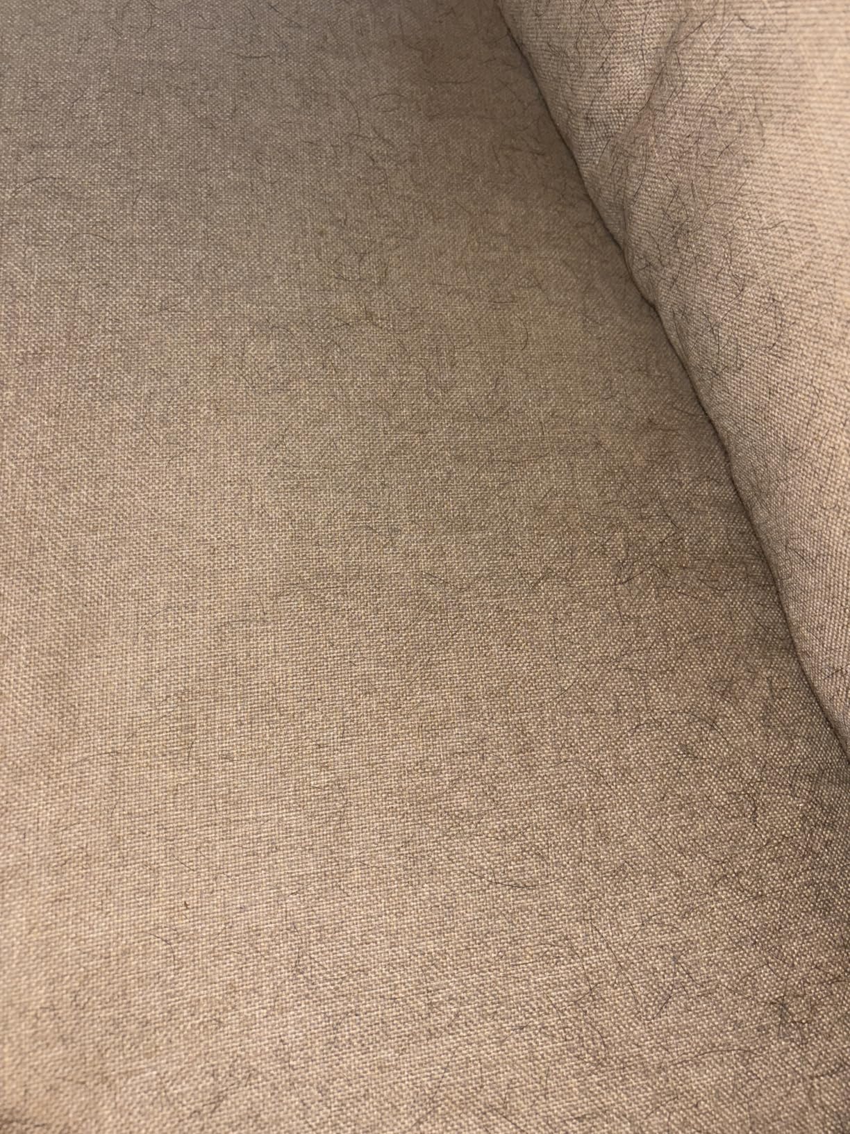 DELOMO Pet Hair Remover Roller: Reusable Lint Roller with Large Fur Bin - Portable Cat and Dog Hair Remover for Couch, Bedding, Car, Rugs & Furniture, Effective and Eco-Friendly, for Multi-Pet Homes customer photo 1