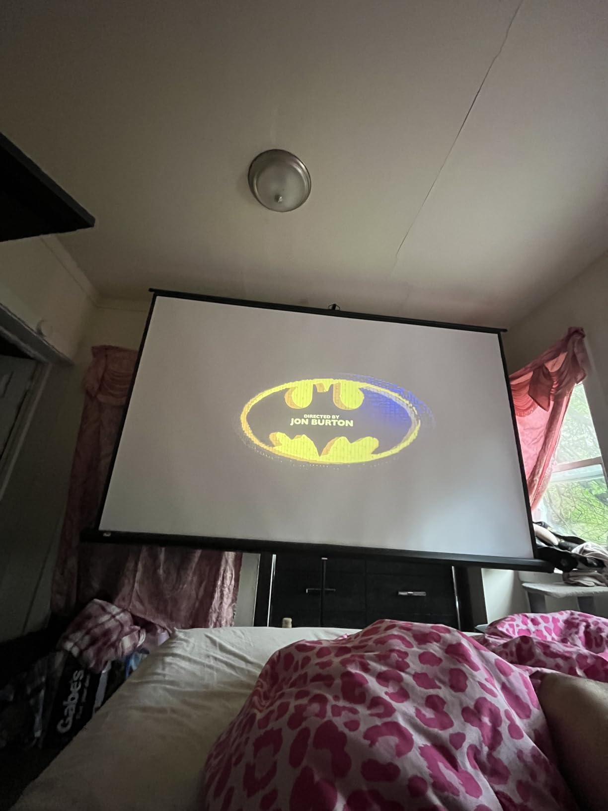 PropVue Projector Screen with Stand 120 inch - Indoor and Outdoor Projection Screen for Movie or Office Presentation - 4:3 HD Premium Wrinkle-Free Tripod Screen customer photo 1