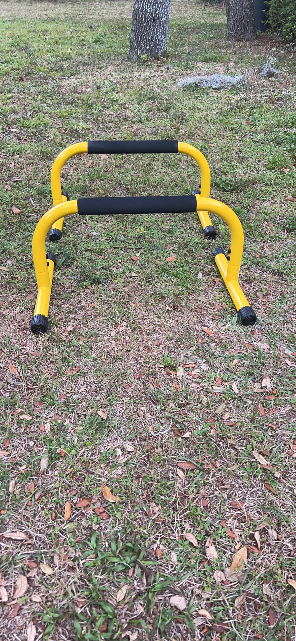 Lebert Fitness Parallette Push Up Bars Dip Station Stand - Perfect for Home and Garage Gym Exercise Equipment - Gymnastics, Calisthenics, Strength Training Parallel Bars customer photo 1