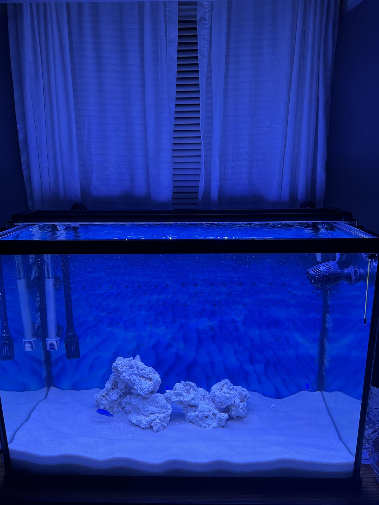 NICREW Saltwater Aquarium Light, Marine LED Fish Tank Light for Coral Reef Tanks, 30 to 36-Inch, 32-Watt customer photo 1