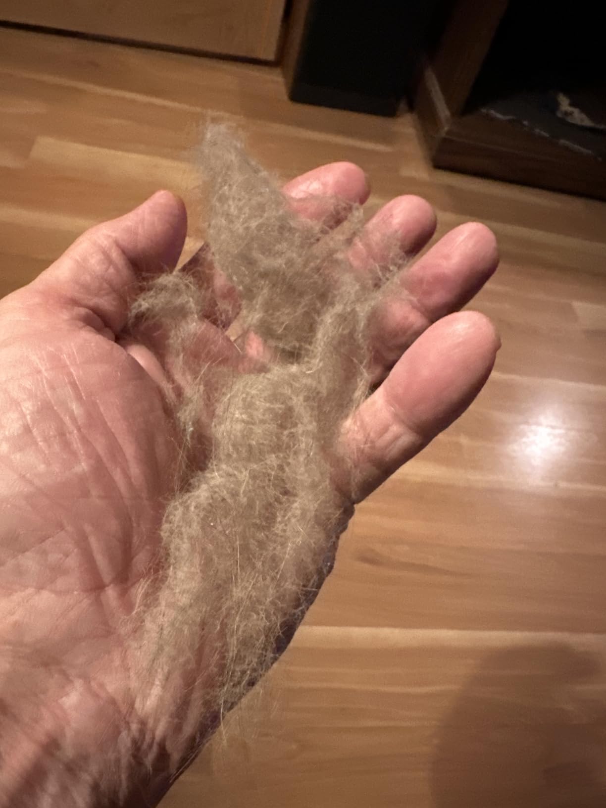 ACE2ACE Pet Hair Removal Tool, Reusable Lint Roller for Pet Hair, Self Clean Cat Hair Remover with Dust Bin, Dog Hair Remover for Couch, Furniture, Carpet, Sofa and Bedding customer photo 1