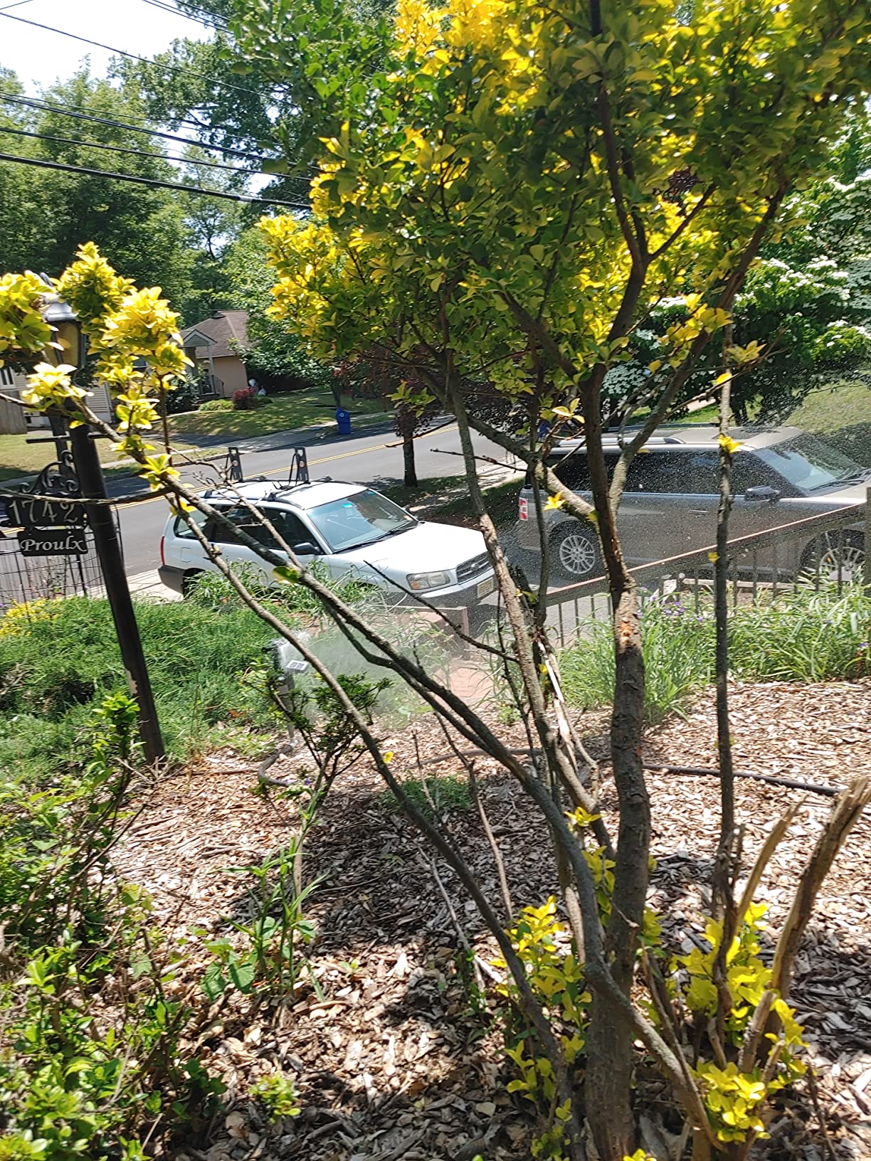 Hoont Cobra Animal Repeller - Solar-Powered Motion-Activated Water Blaster with Powerful Jet Spray customer photo 1