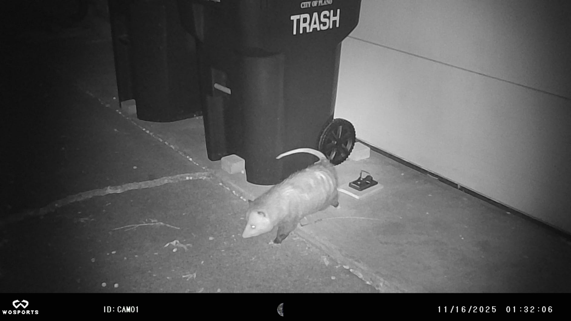 WOSPORTS Mini Trail Camera,24MP 1080P HD Game Camera Motion Activated with IR Night Vision Waterproof Video Deer Cam for Outdoor Wildlife Monitoring customer photo 2